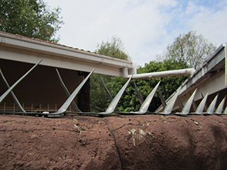 Wall Spikes